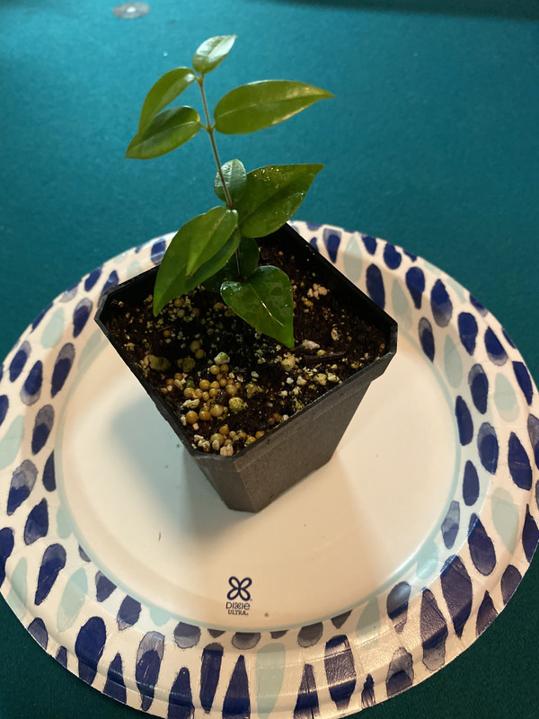 EB681720-989C-4FEE-99D0-2AED590FB0AE