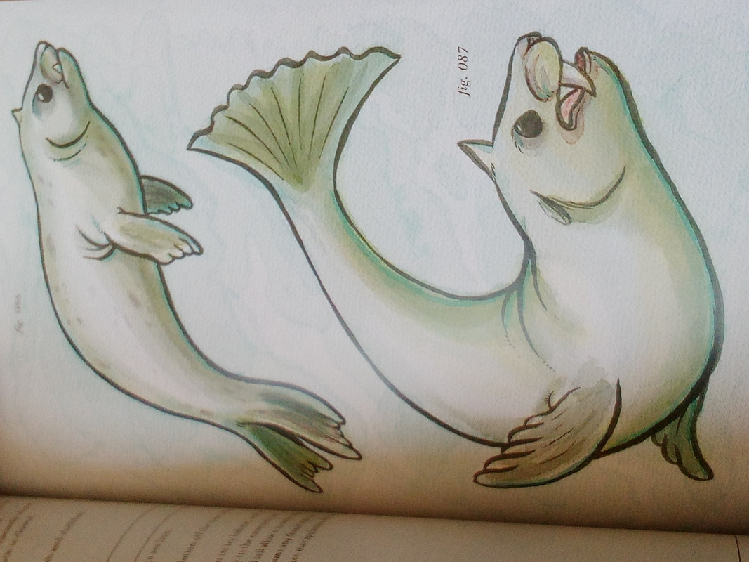 [PokeCommunity.com] The Glacial Gathering: Ice Types Fanclub