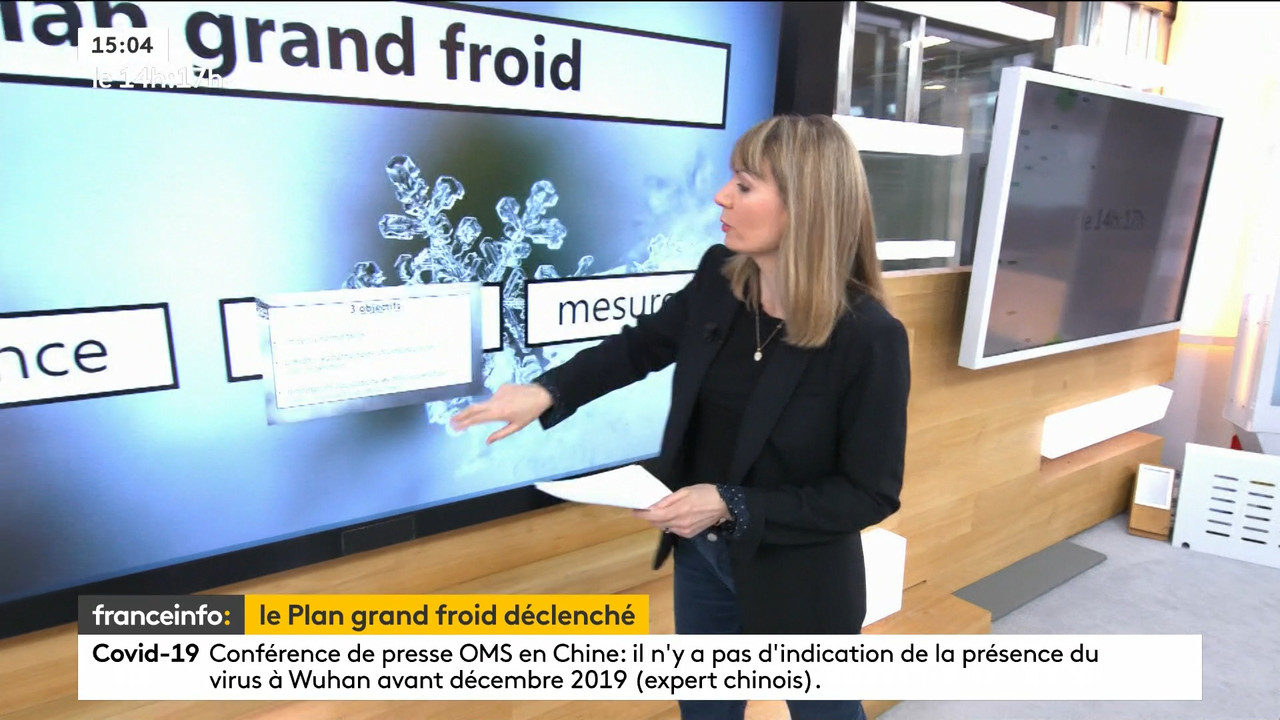 02.09 - 12.59.00 - Le 14h-17h. Au sommaire   Vrai ou fake. - francein..._001.ts_snapshot_00.19.798