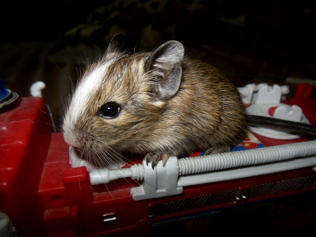 DSCN1657
