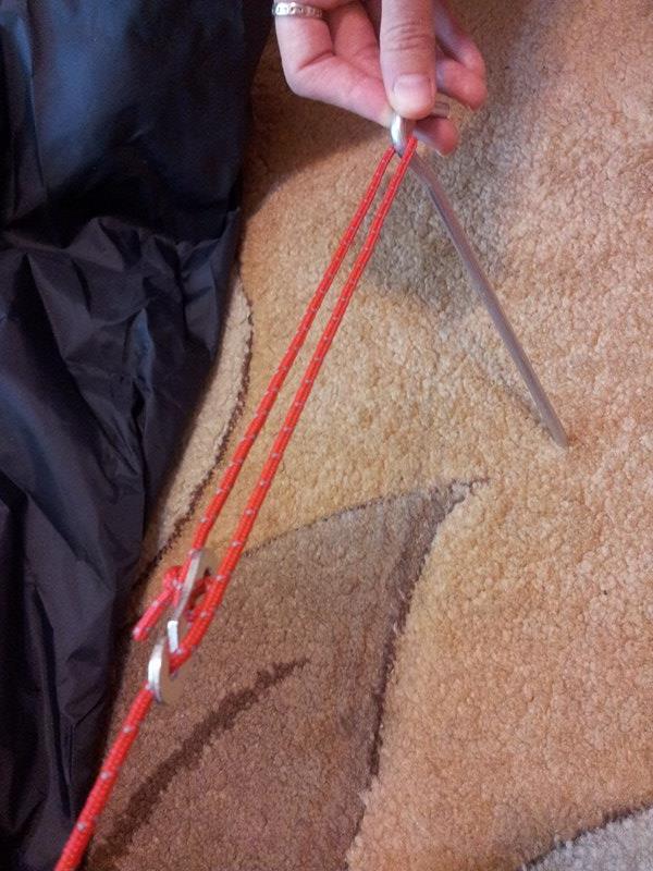 13487865_1026451960743558_637824650_n