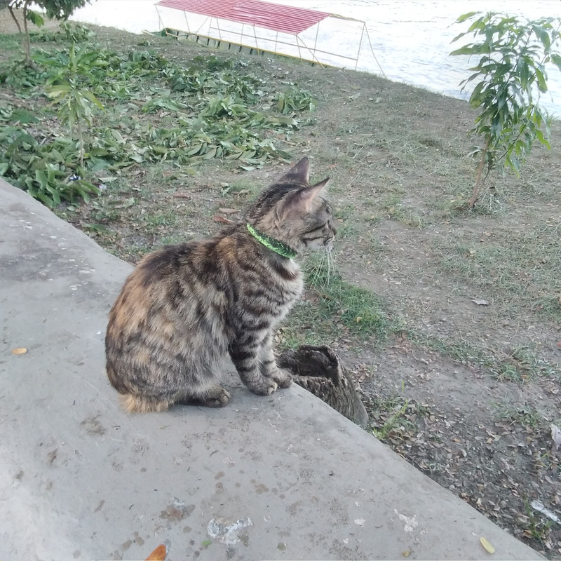 Зимовка 2026, полтора месяца в Колумбии.