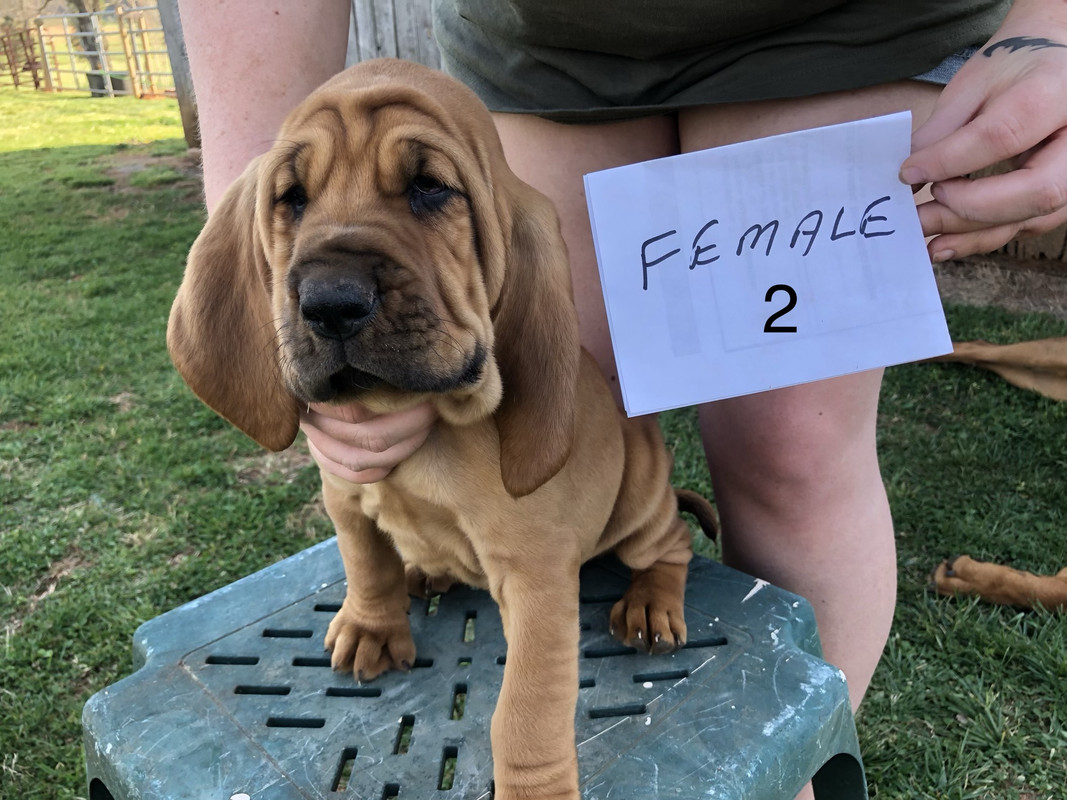 21CEE74F-603E-4B43-947B-DD43A6BFB0E1