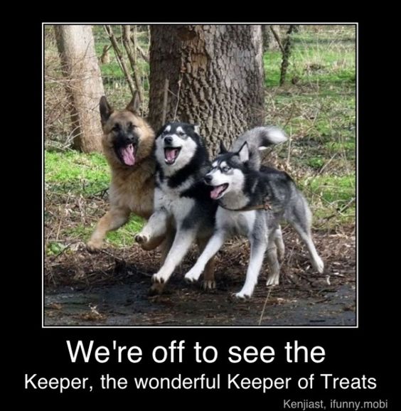 Dog Humor #2