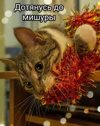 images (6)