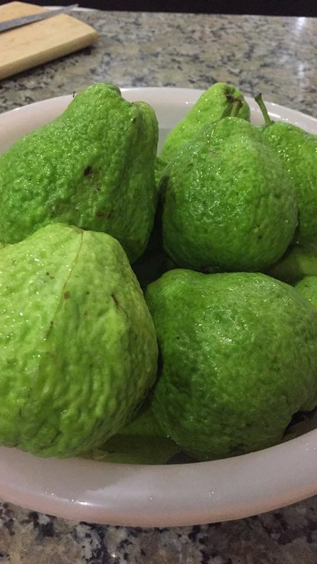 7485EA67-C352-4A8E-A5F5-83B9A969F324