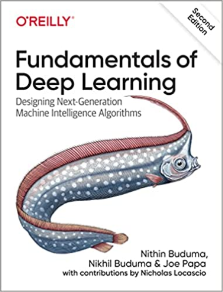 Fundamentals of Deep Learning, 2nd Edition