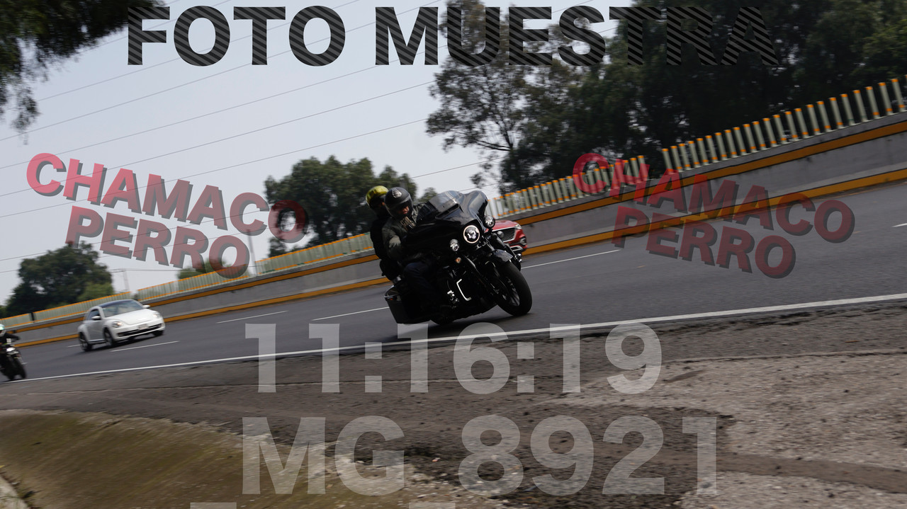 MG 8921 — Postimages