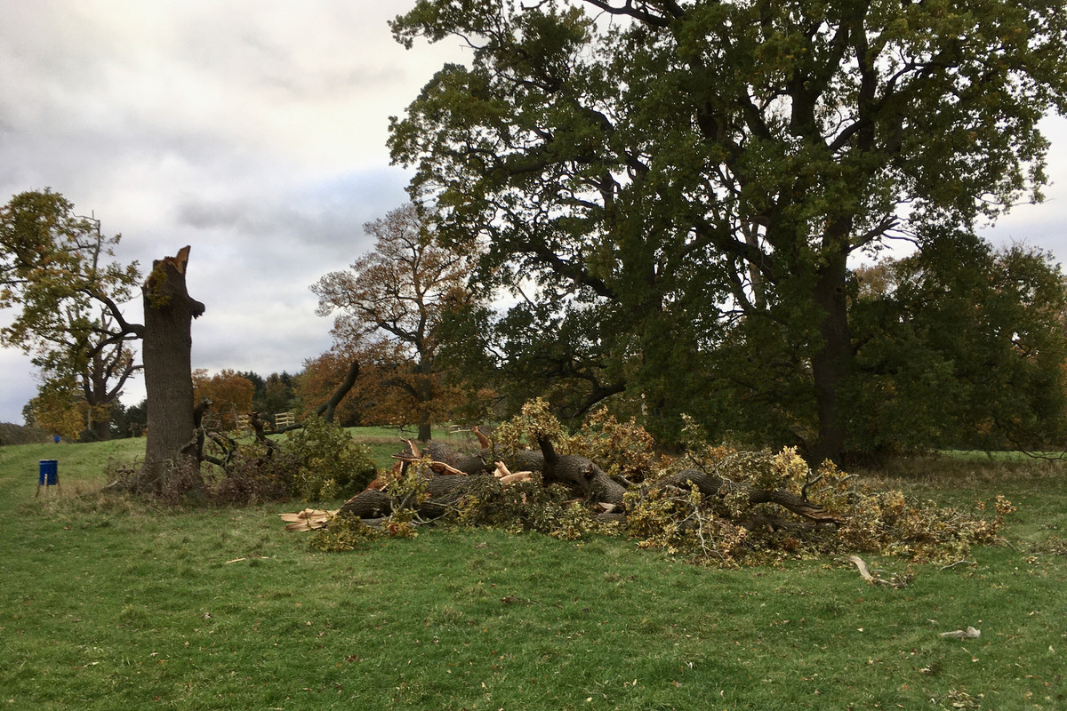 84374C18-77F0-4C0B-81E4-4CAB8AB8978C