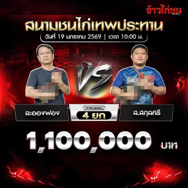 โปรแกรมไก่ชน คู่เด่น จ๊ะอ๋องพ่วง พบ ส.กฤตศิริ ชิง 1,100,000 บาท ชน 4 ยก