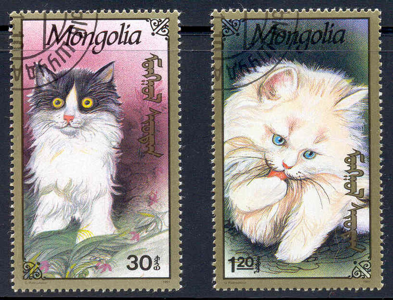 2008224-cats-from-Le-Ann-3