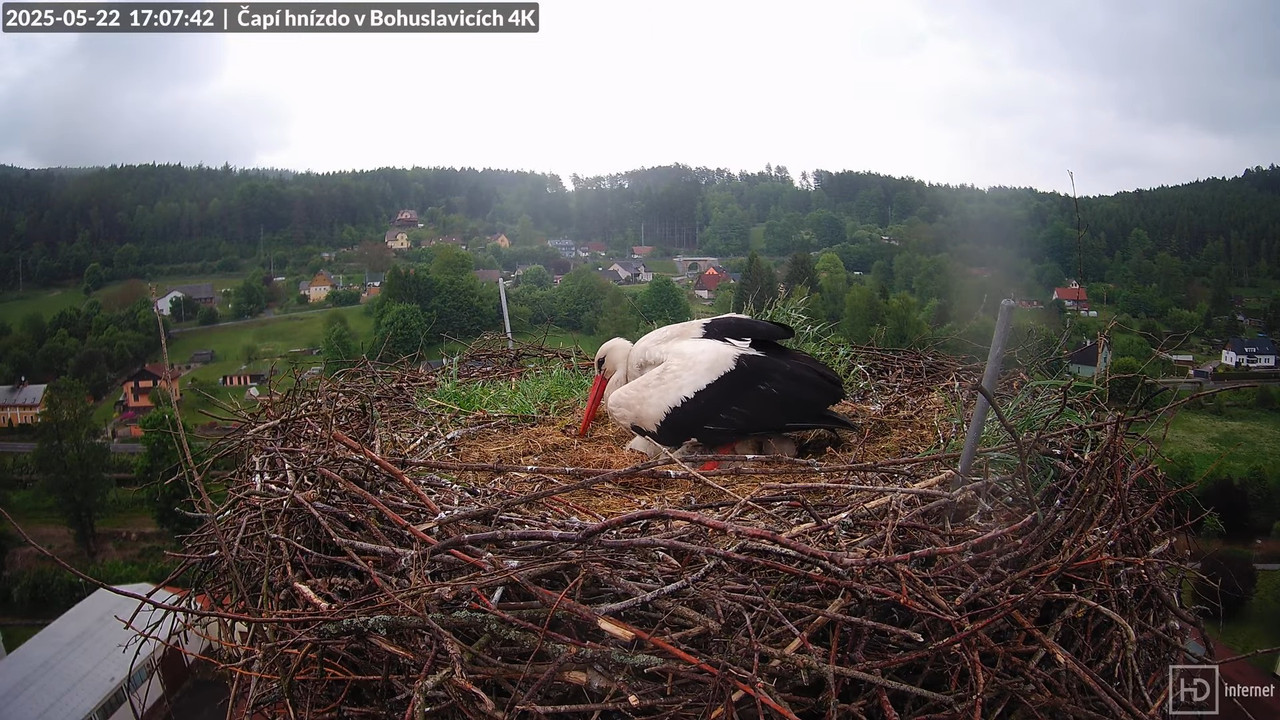 Tiešraide no KARA uzņēmuma stārķu skursteņa Bohuslavicē netālu no Trutnovas 11-11-48 screenshot