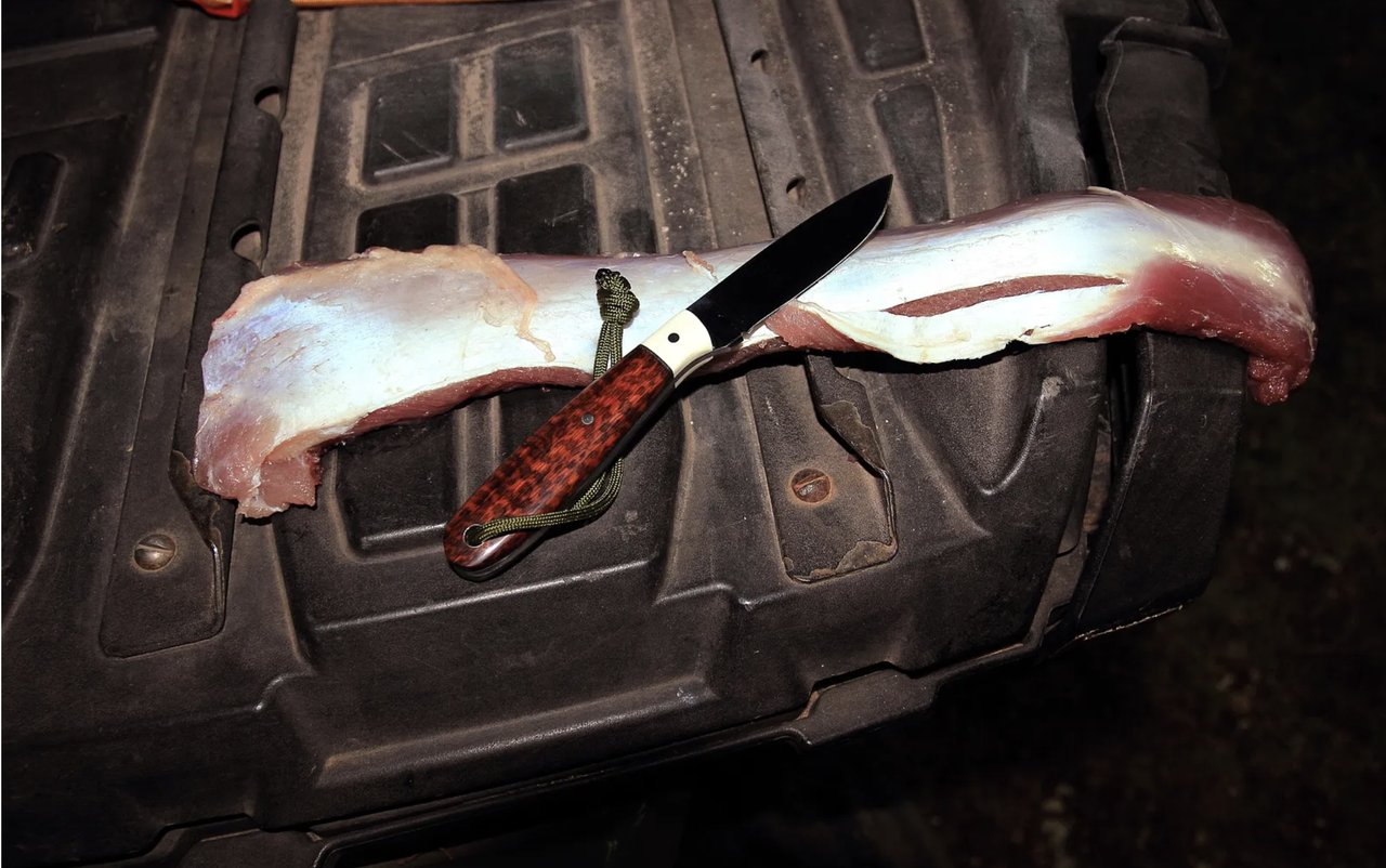 Screen Shot 2026 03 15 at 4 16 16 PM