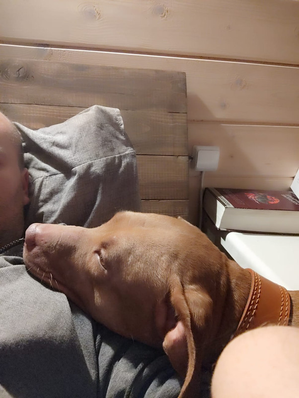 ED667AAB-9960-4C90-B828-C21DF3B09FCB