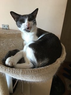 3-DFC999-D-6923-442-E-B7-AF-4-BBDBCD95-F