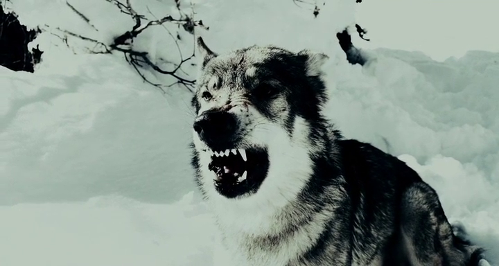 vlcsnap-2015-04-14-21h49m23s70