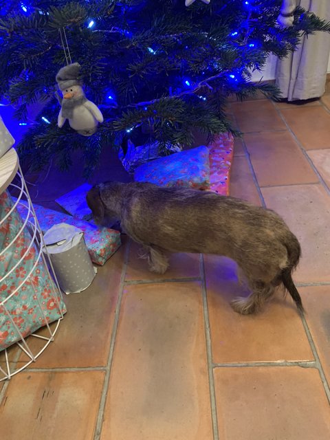 [Image: 0-D3-B4056-9210-4-AF8-8-DFB-43-C4-EFBB51-E4.jpg]