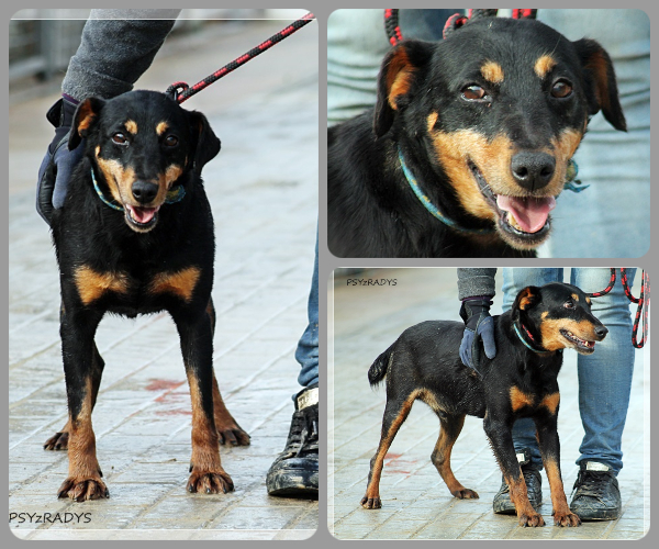 BeFunky-collage (23)