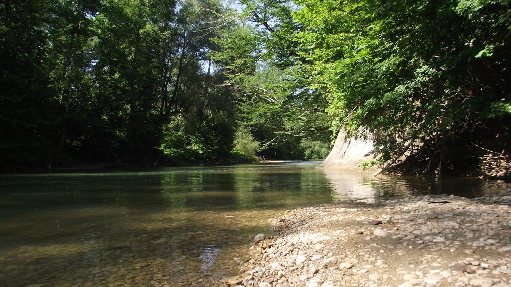DSCF5968.jpg