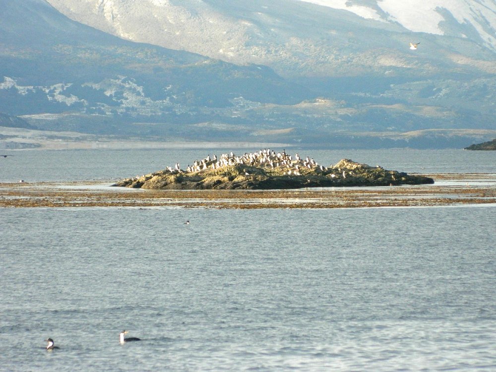 beagle-channel-2 Прогулка по каналу Бигль путешествие на край света