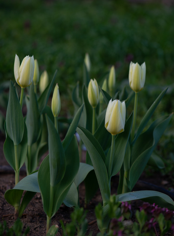 IMG-009eb17d81001ae853e5b0ef3173673a-V