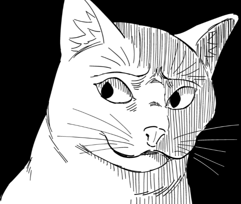Cat dejected