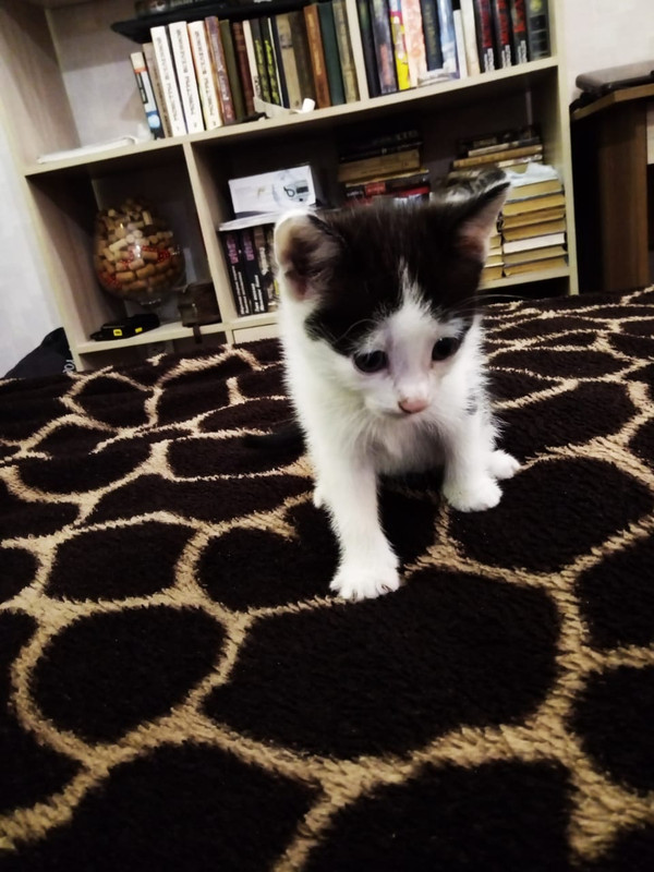 WhatsApp Image 2020-08-06 at 10.05.26 (1)