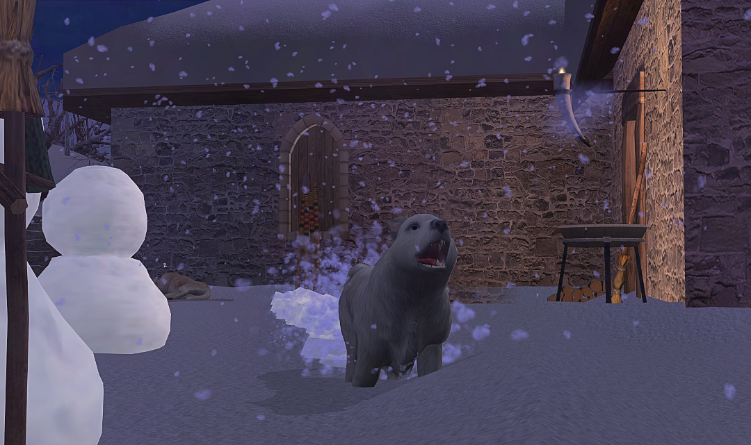 screenshot_2026_02_04_20_31