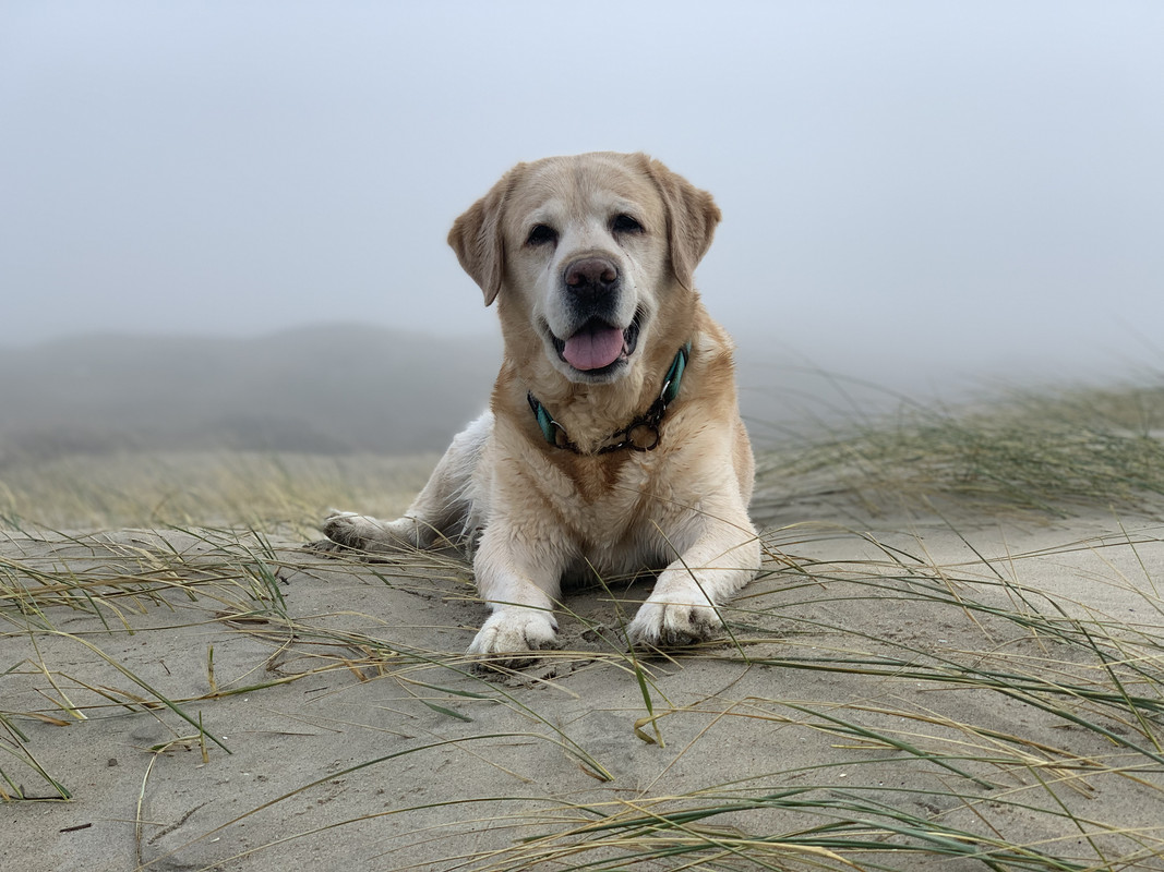 BA3B324A-78D9-4F69-9176-22AE479F59D8