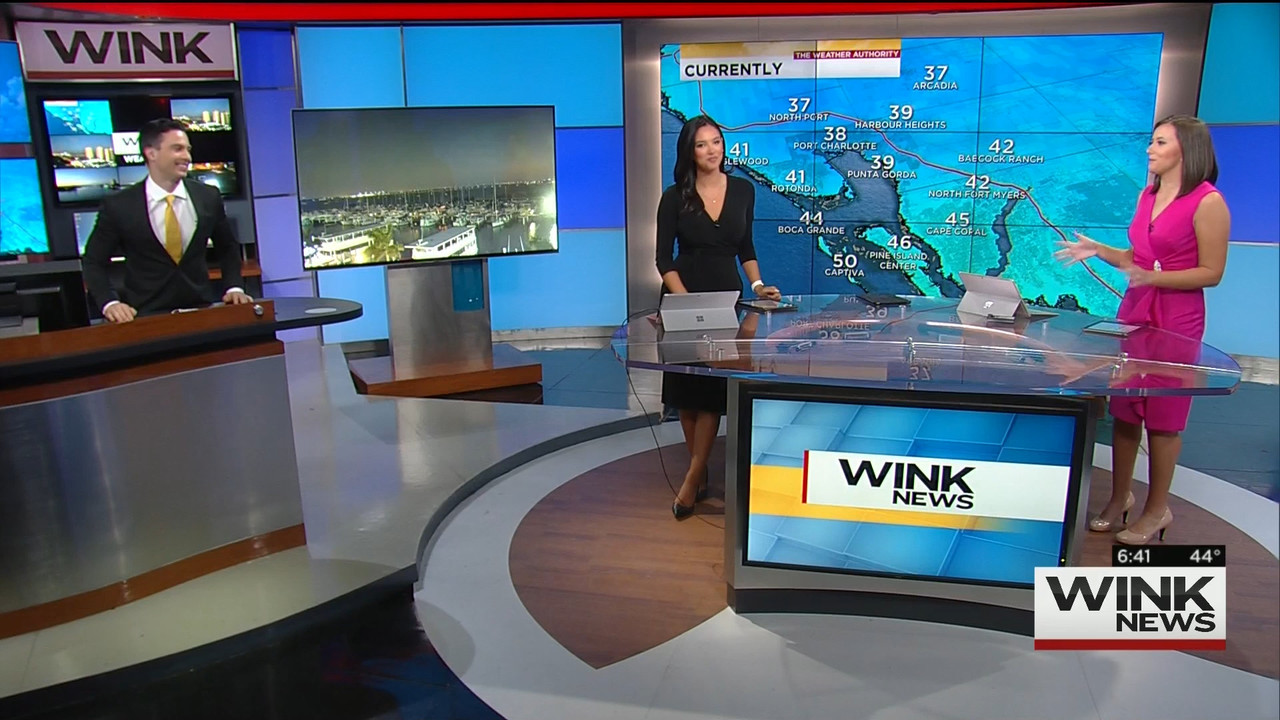 01.10 - 11.00.00 - WINK News @ 6 00AM Sunday..ts_snapshot_00.42.26.584