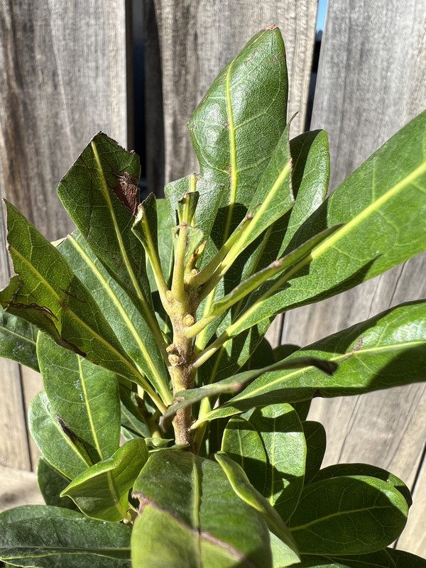 3F632670-8D3B-4927-9A3C-4BBE9ACCD232