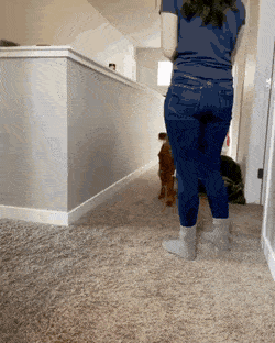 daily-gifdump-3378-20.gif