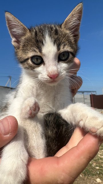 7F4BF89D-BDB2-4428-B43A-F4E340683A90