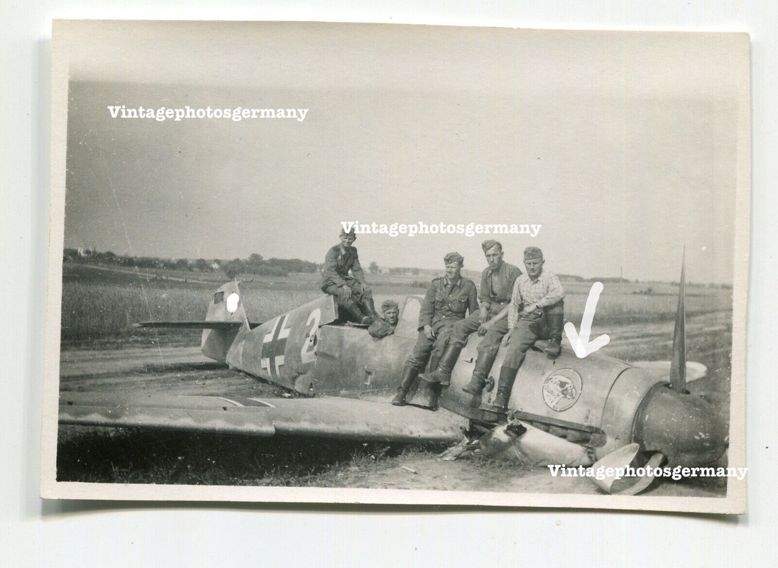 K3698 Foto abgestürztes deutsches Flugzeug Me109 Bf109 Kennung Staffelwappen