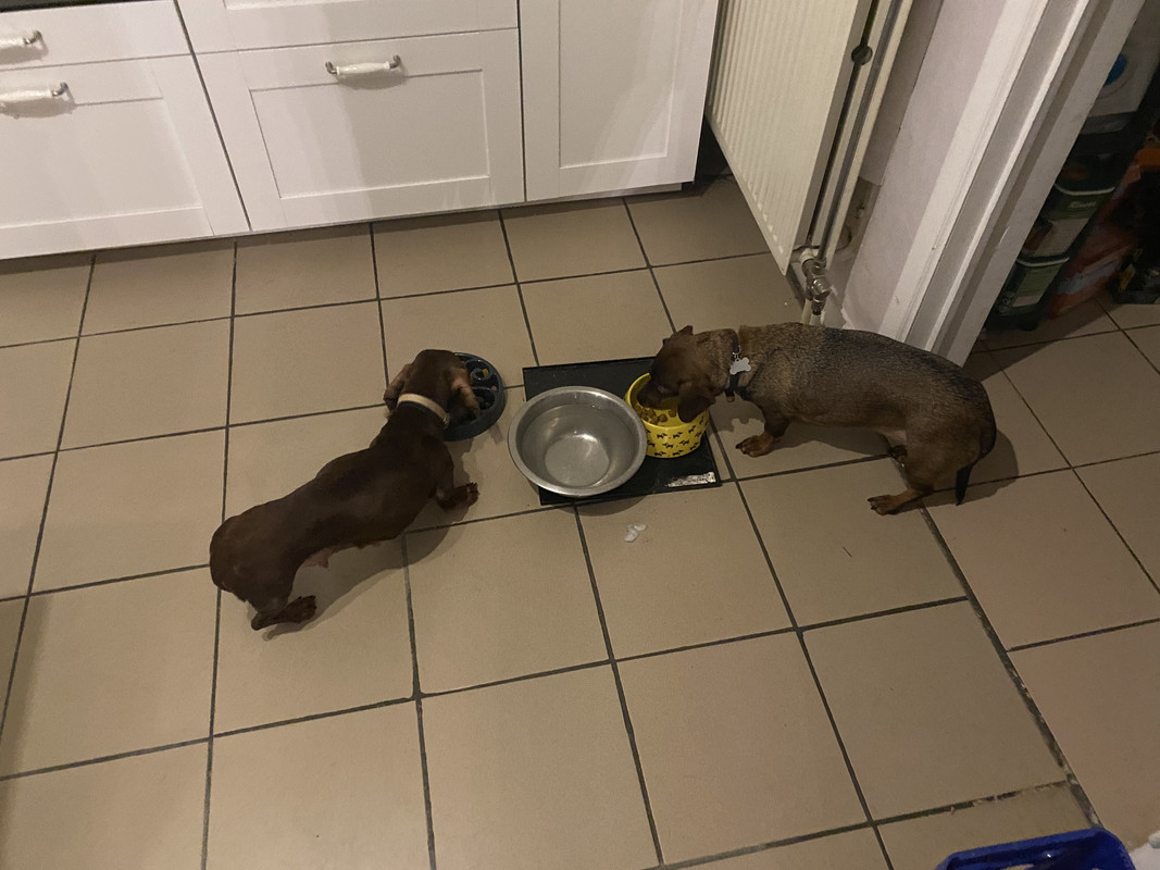 [Image: IMG-7037.jpg]