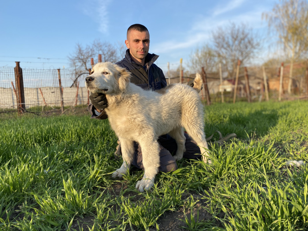 8E00B69A-E0C5-4806-AC10-B435B1C17C88