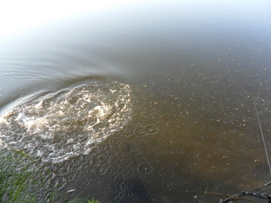 Кочебахтино 17-18.06.13г08