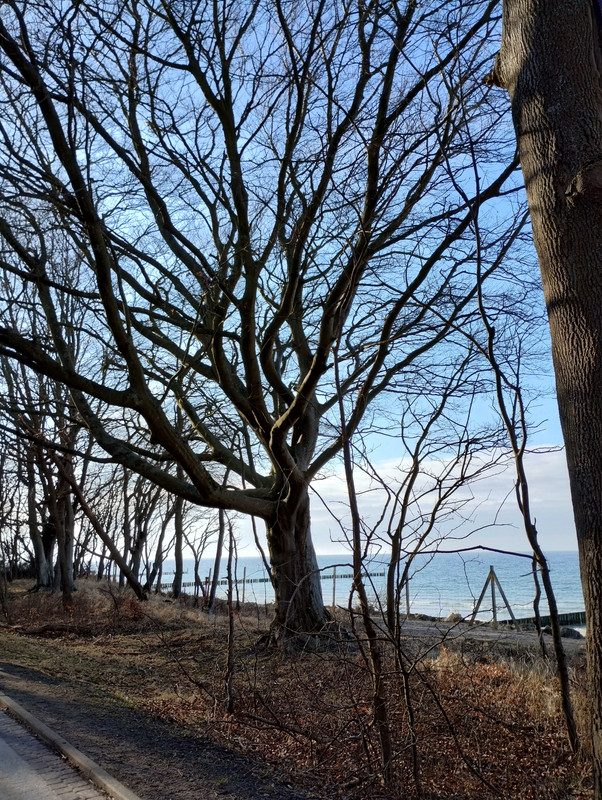 [Obrazek: IMG-20250327-155855295-HDR.jpg]