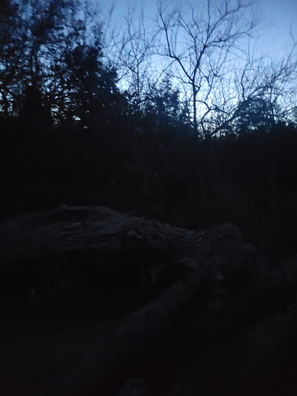 20241124_063203