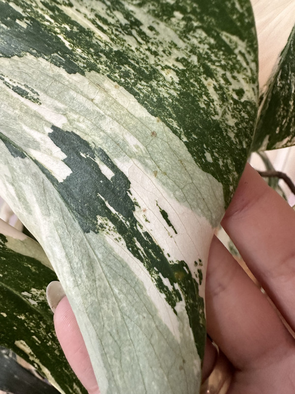 9E93469E-D494-4228-BD8B-A7933978D699