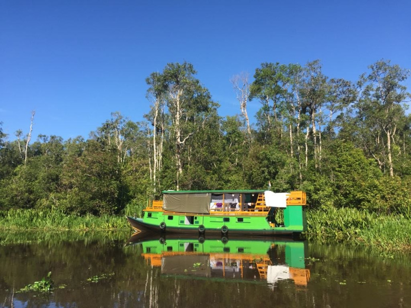 borneo orangutan tour