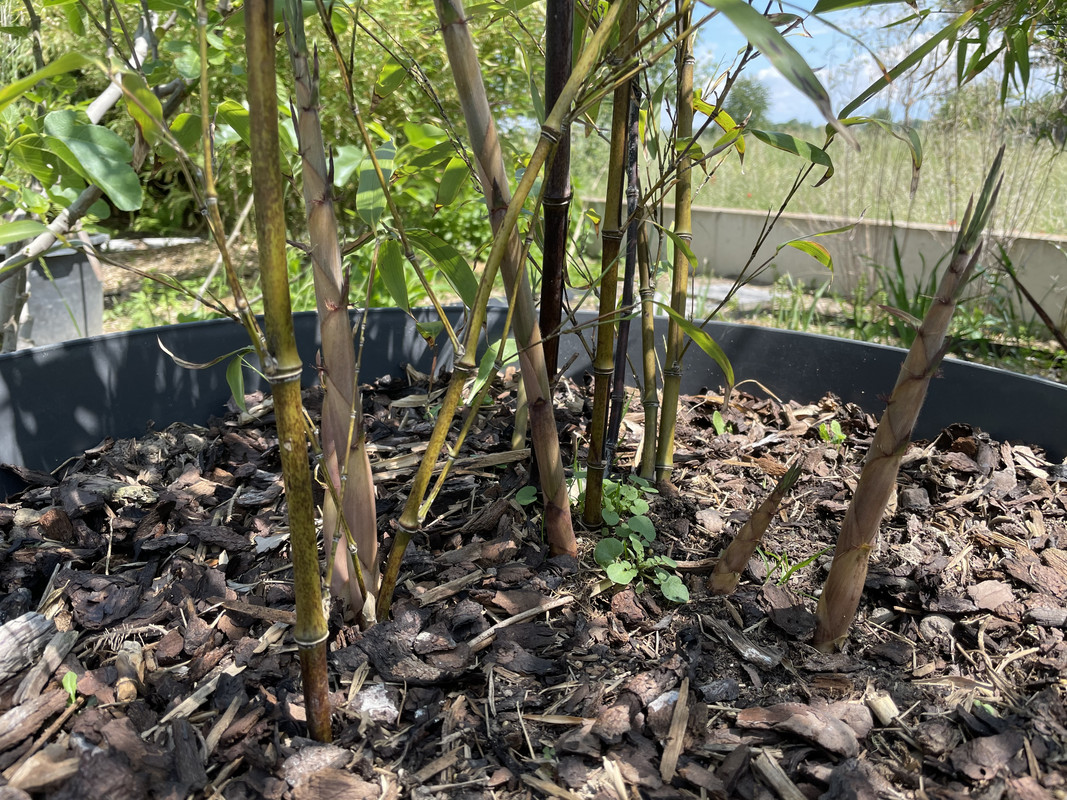 21A051FB-42E1-49CD-A453-826A78F24076