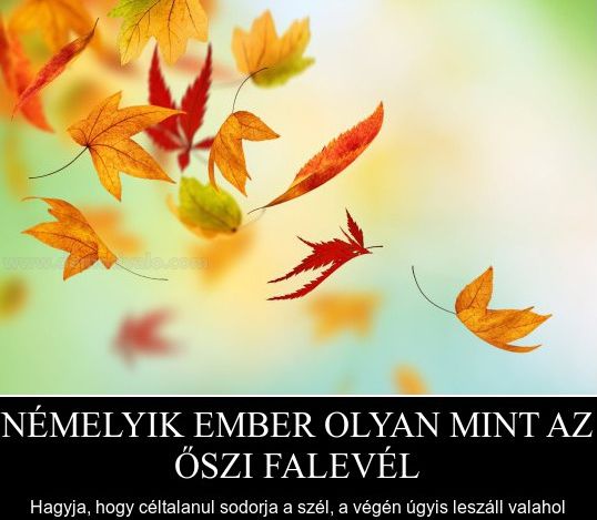 https://i.postimg.cc/sxLTy9Tb/nemelyik-ember-olyan.jpg