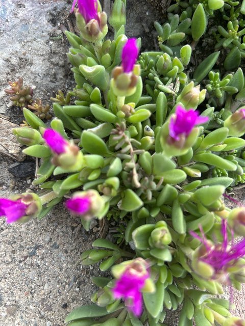 [Image: IMG-2304.jpg]