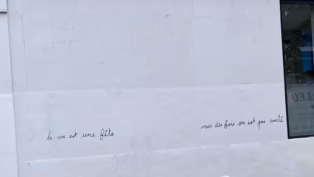 https://i.postimg.cc/sxLmQMfj/IMG-4985.avif