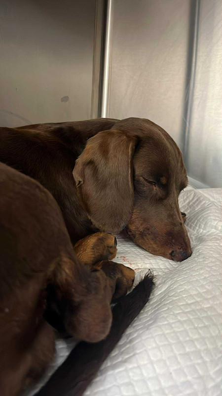 [Image: IMG-20250802-072354.jpg]