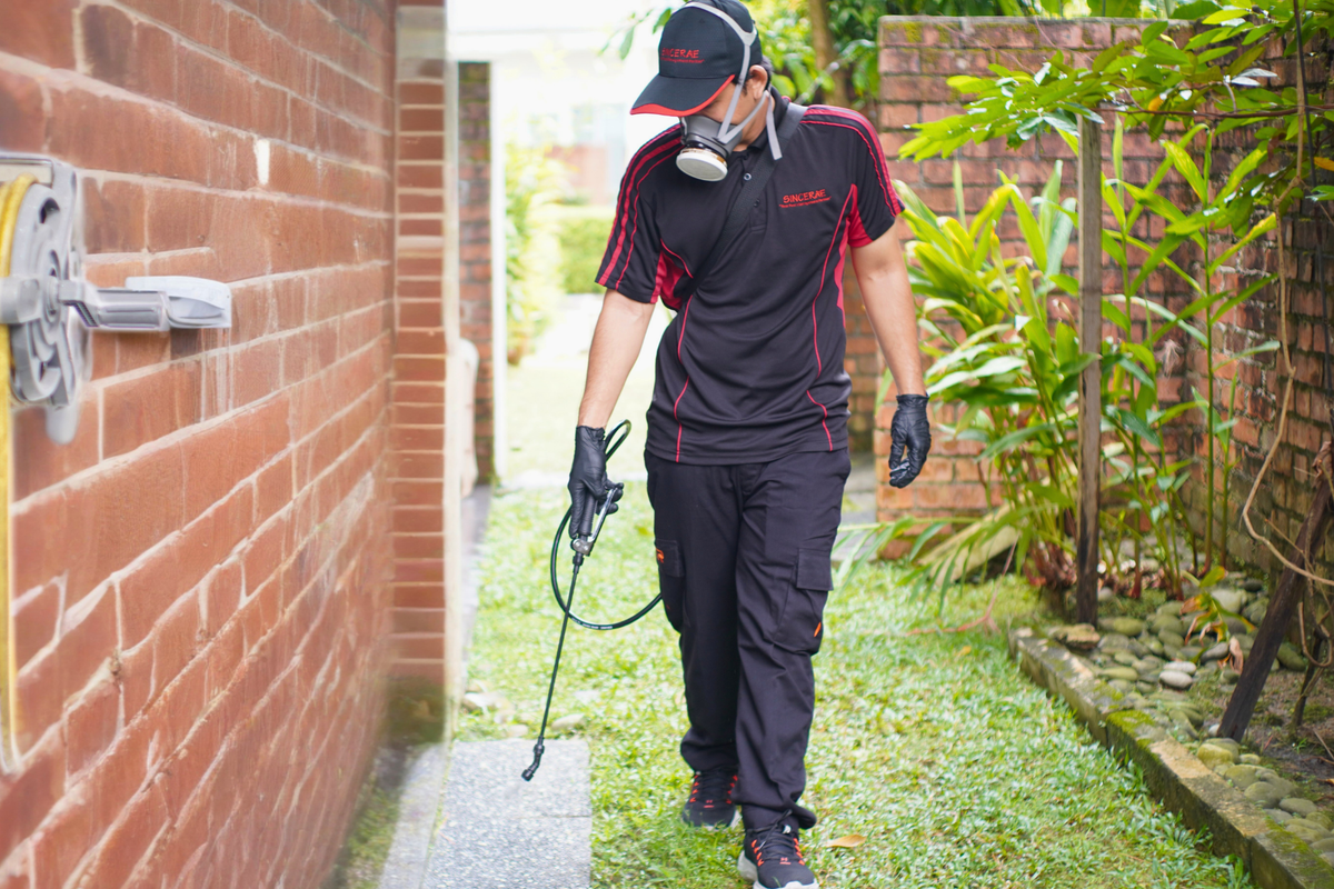 Safe pest control for families