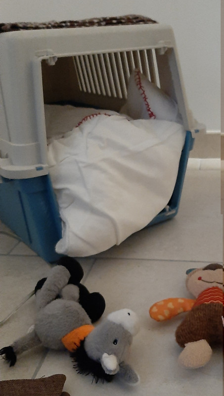 [Image: 07-2021.jpg]