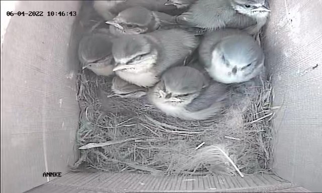 F60B6F14-0A31-4D5F-8737-C572EFEC1CE4