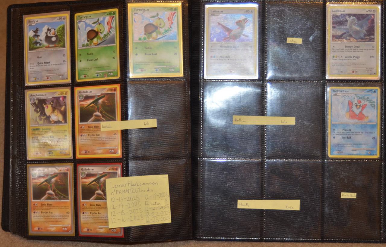 vander j meintel binder (217)